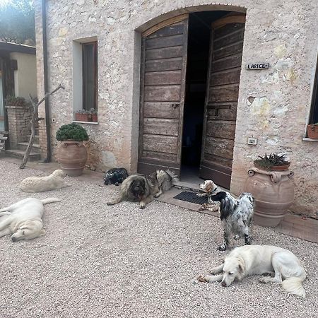 Setterhouseagrihotel Τρέβι Εξωτερικό φωτογραφία