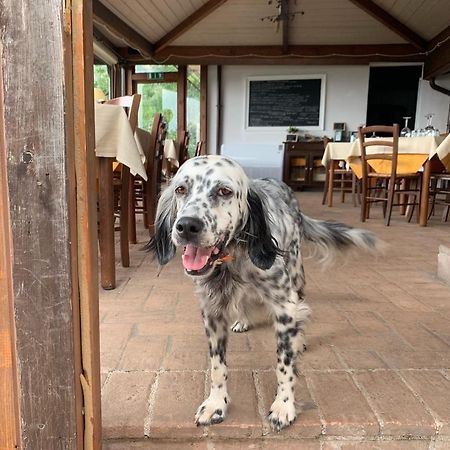Setterhouseagrihotel Τρέβι Εξωτερικό φωτογραφία