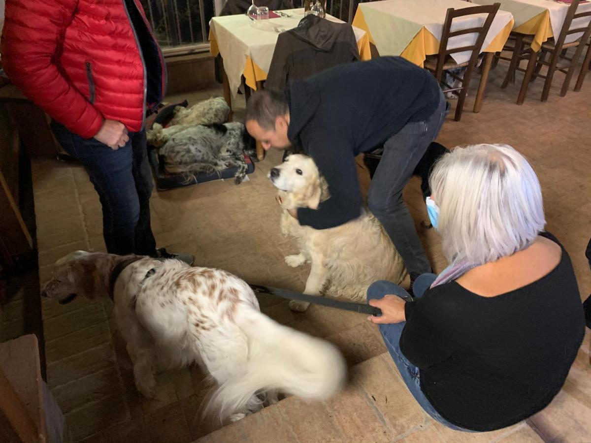 Setterhouseagrihotel Τρέβι Εξωτερικό φωτογραφία