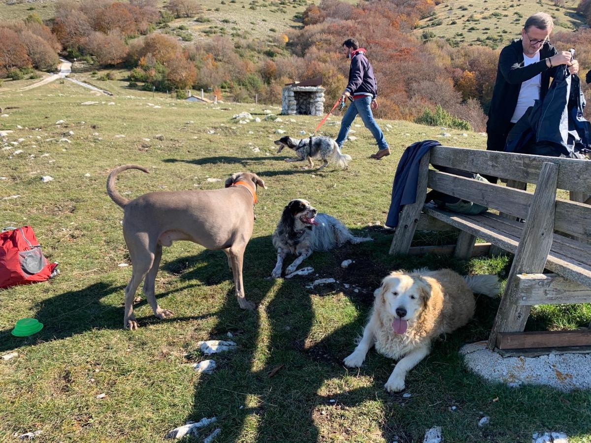 Setterhouseagrihotel Τρέβι Εξωτερικό φωτογραφία