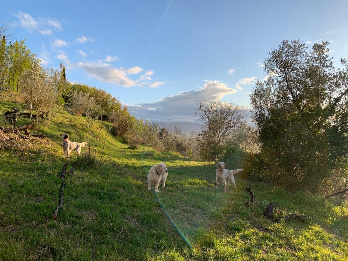 Setterhouseagrihotel Τρέβι Εξωτερικό φωτογραφία