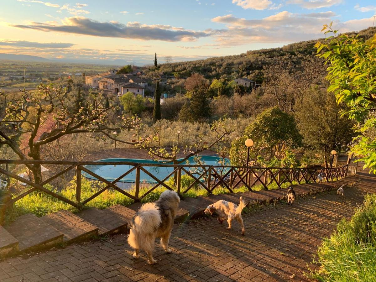 Setterhouseagrihotel Τρέβι Εξωτερικό φωτογραφία