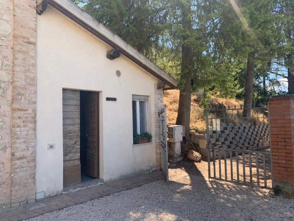 Setterhouseagrihotel Τρέβι Εξωτερικό φωτογραφία