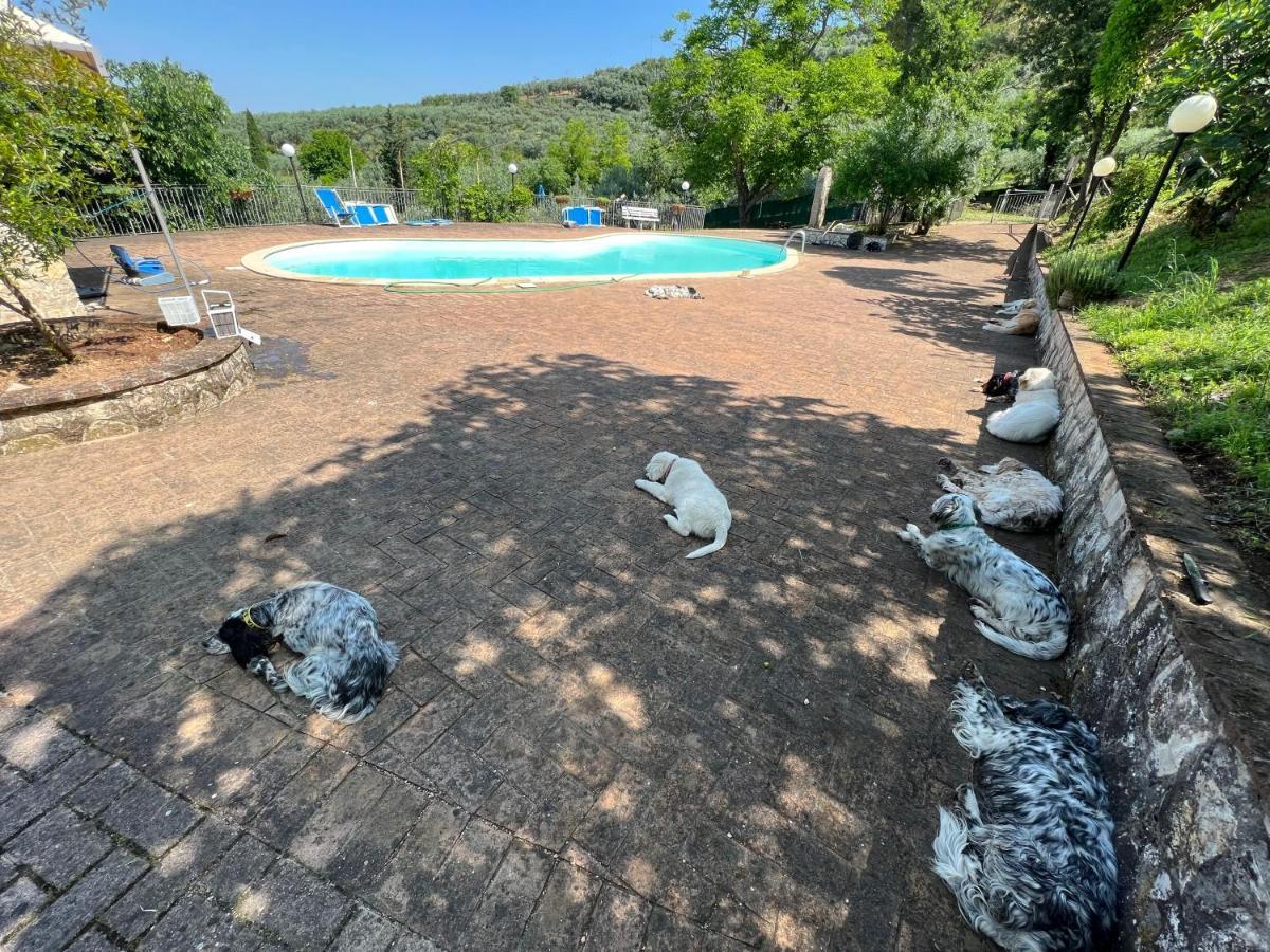 Setterhouseagrihotel Τρέβι Εξωτερικό φωτογραφία