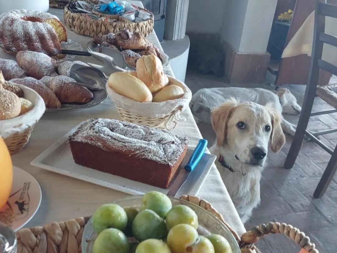 Setterhouseagrihotel Τρέβι Εξωτερικό φωτογραφία