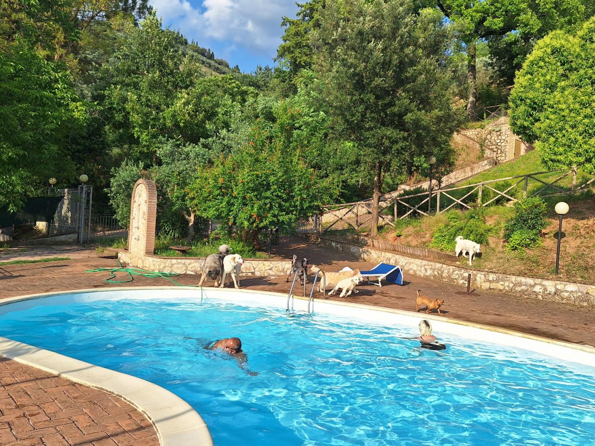 Setterhouseagrihotel Τρέβι Εξωτερικό φωτογραφία