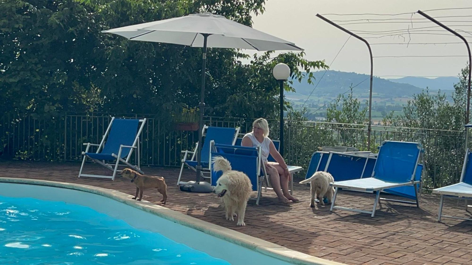 Setterhouseagrihotel Τρέβι Εξωτερικό φωτογραφία