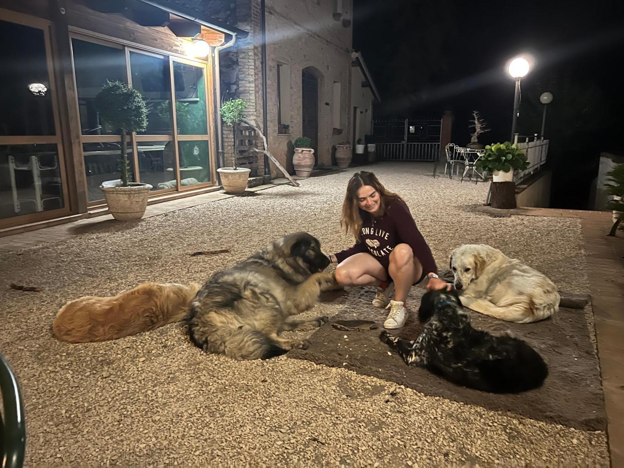 Setterhouseagrihotel Τρέβι Εξωτερικό φωτογραφία