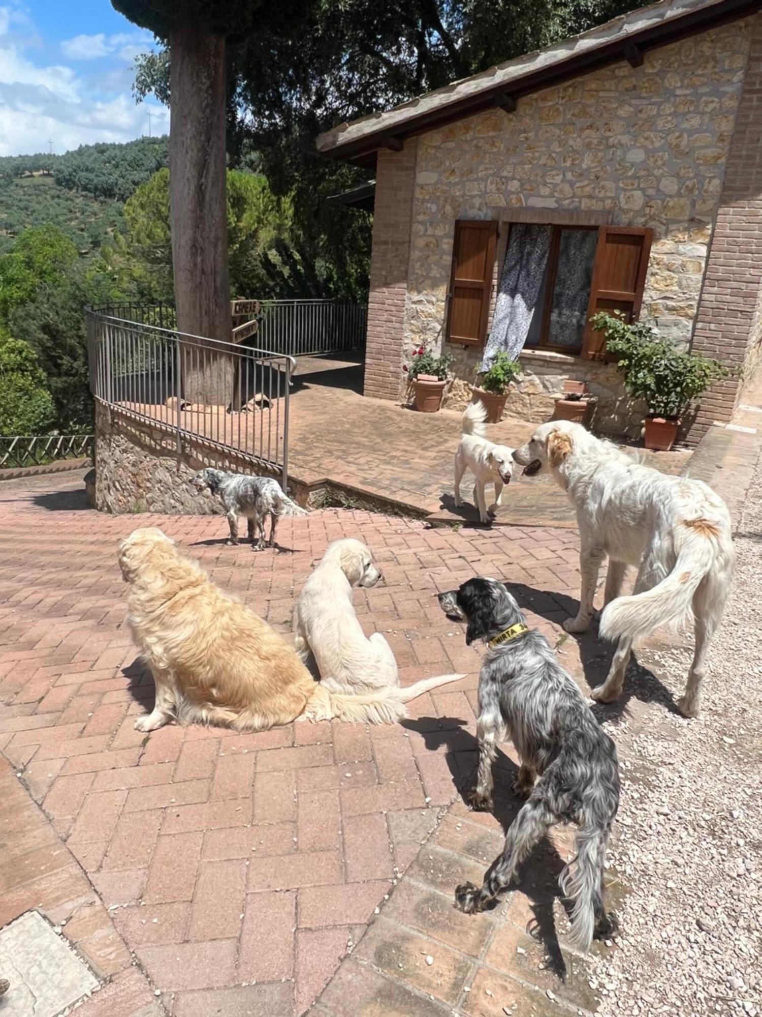 Setterhouseagrihotel Τρέβι Εξωτερικό φωτογραφία