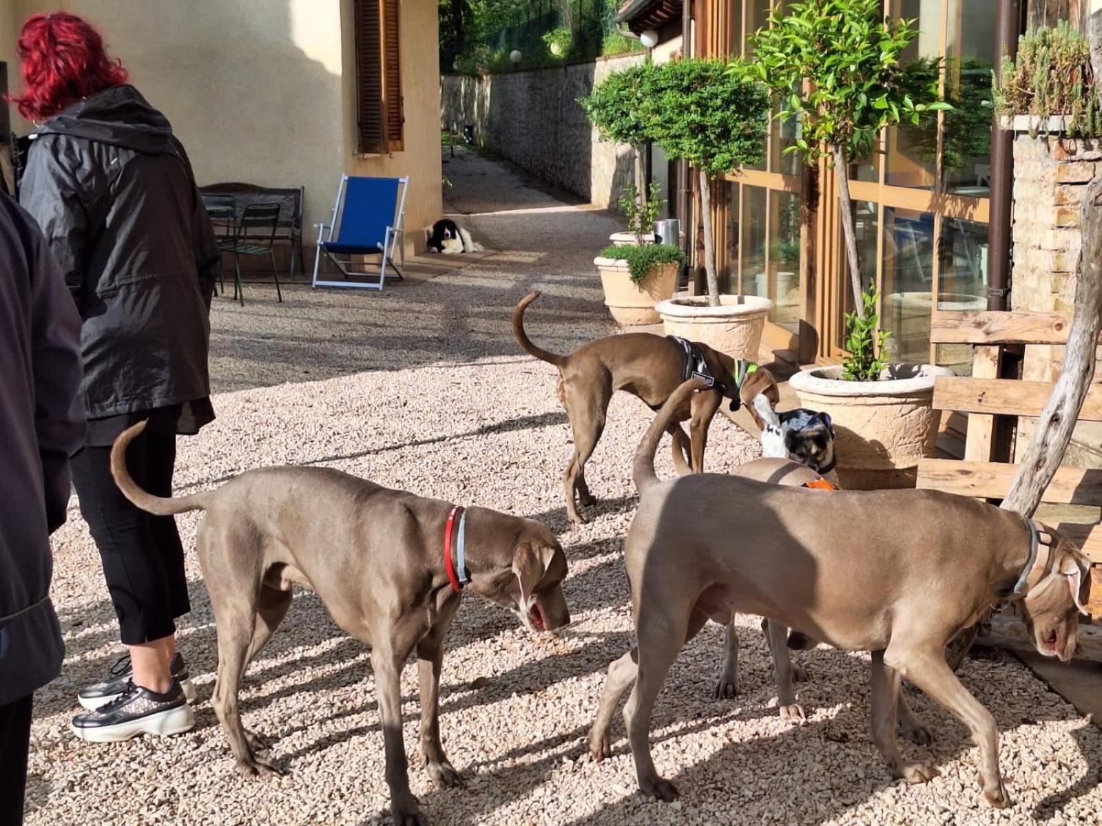 Setterhouseagrihotel Τρέβι Εξωτερικό φωτογραφία