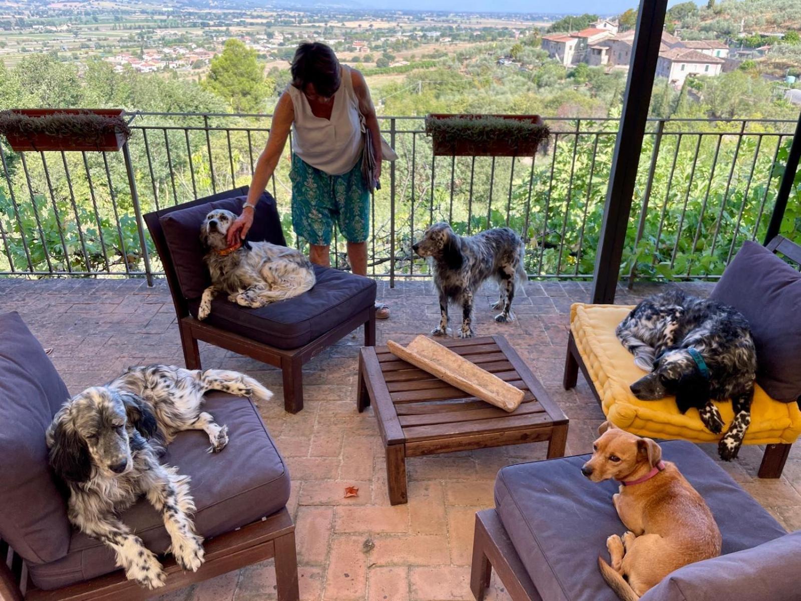 Setterhouseagrihotel Τρέβι Εξωτερικό φωτογραφία