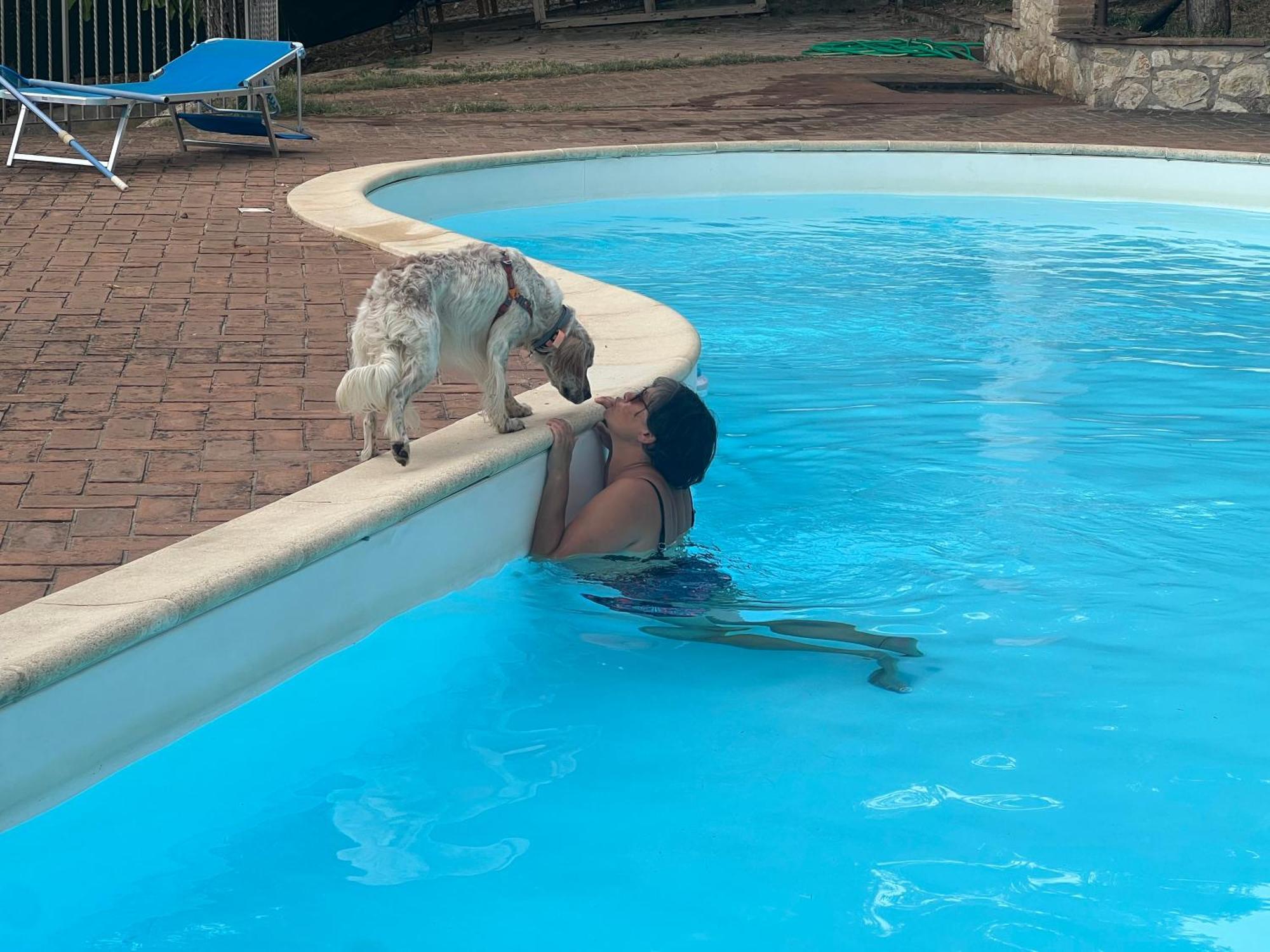 Setterhouseagrihotel Τρέβι Εξωτερικό φωτογραφία