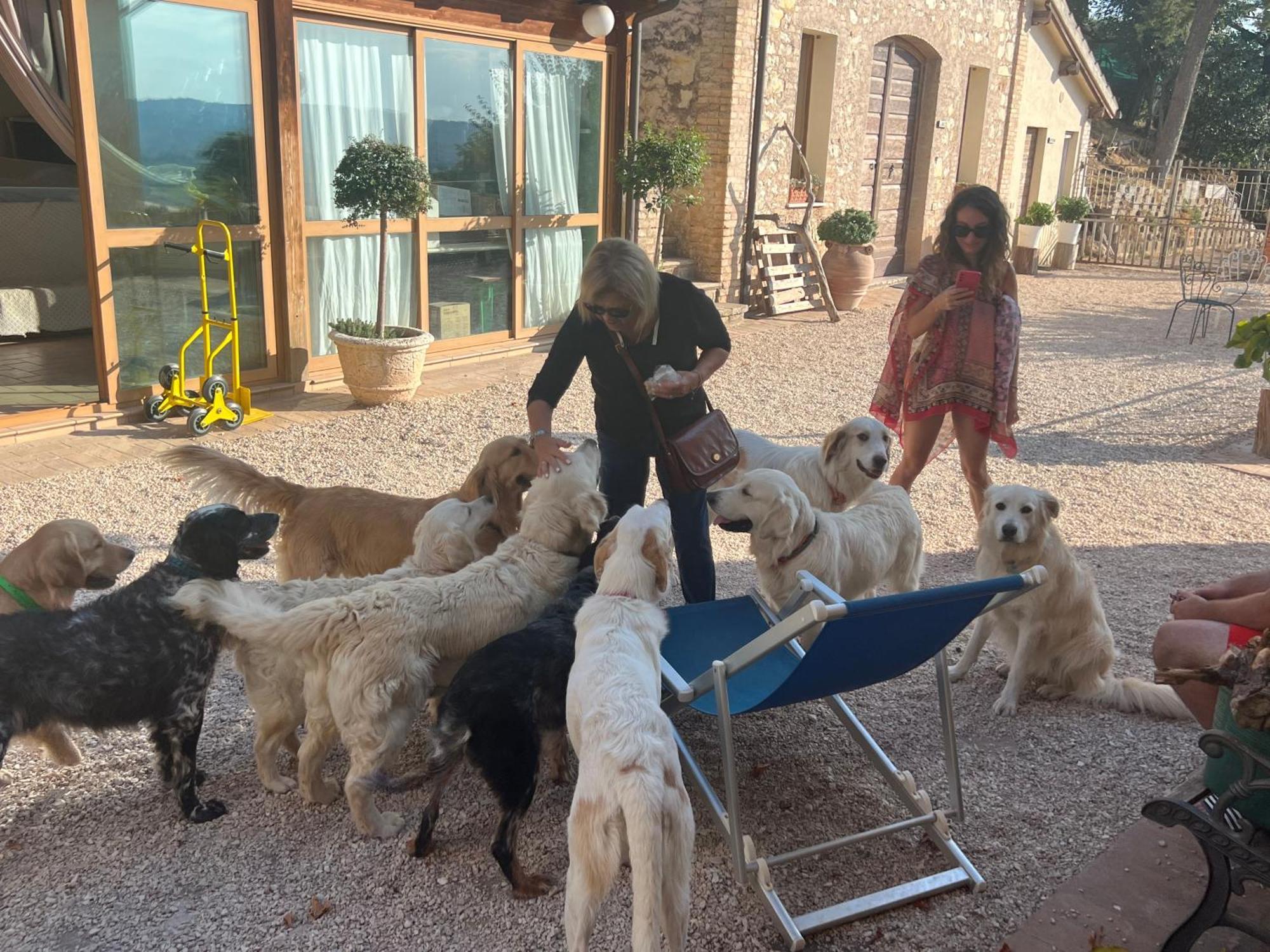 Setterhouseagrihotel Τρέβι Εξωτερικό φωτογραφία
