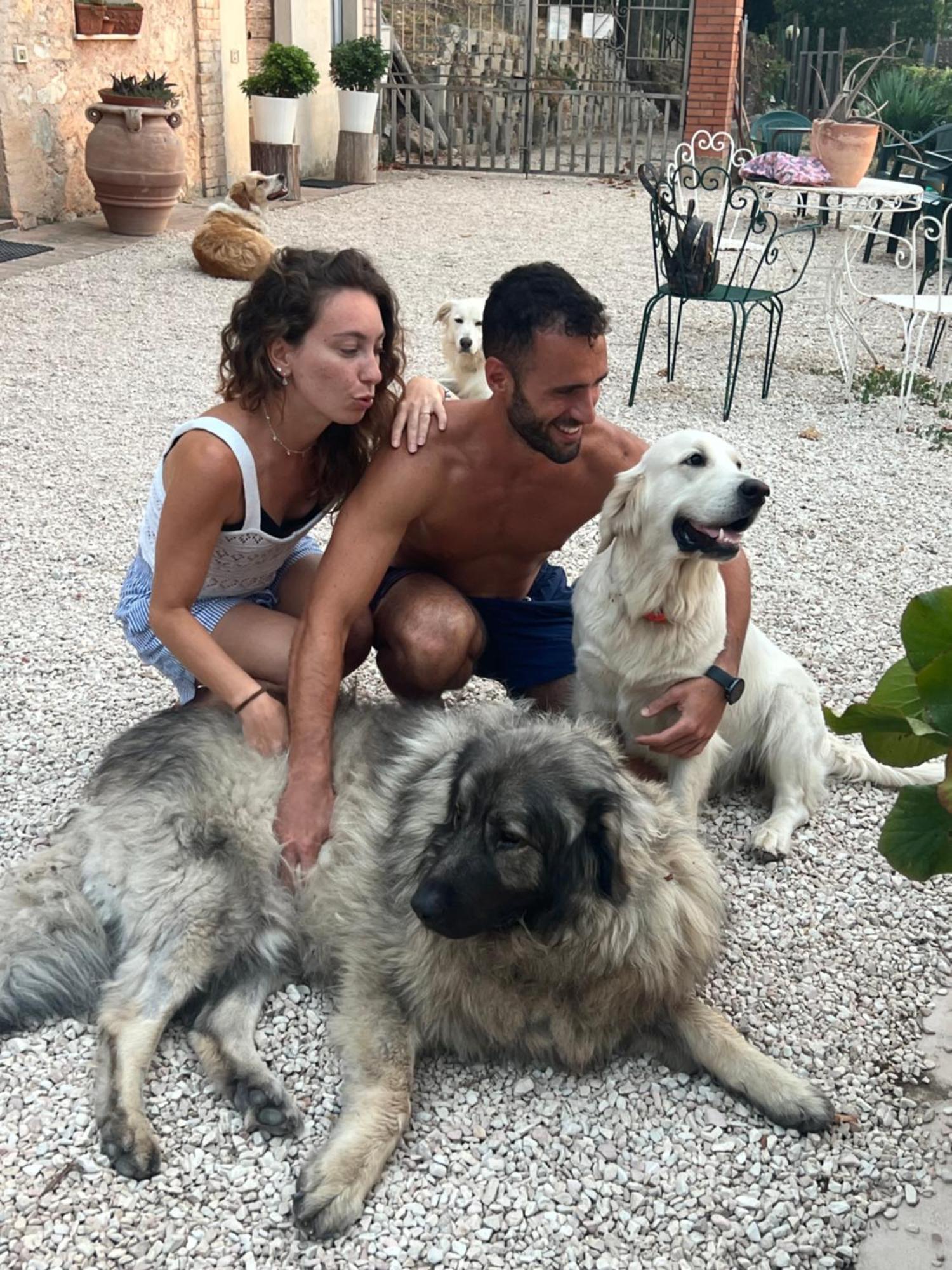 Setterhouseagrihotel Τρέβι Εξωτερικό φωτογραφία